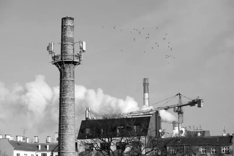 The Net Zero Delusion: How Britain's Green Obsession Is Bankrupting Families and Crippling Our Industry