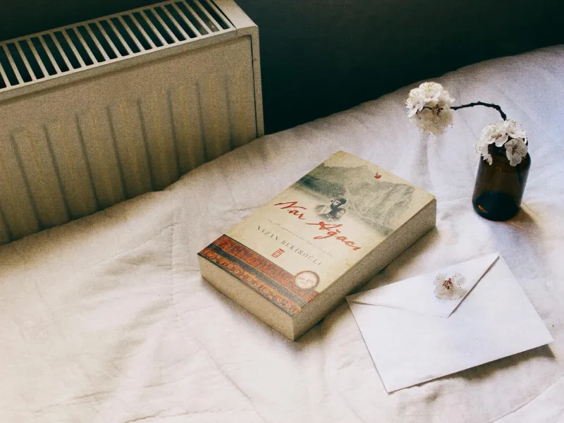 The Soft Extradition Scandal: Why Britain Keeps Importing Foreign Criminals and Refusing to Send Them Back